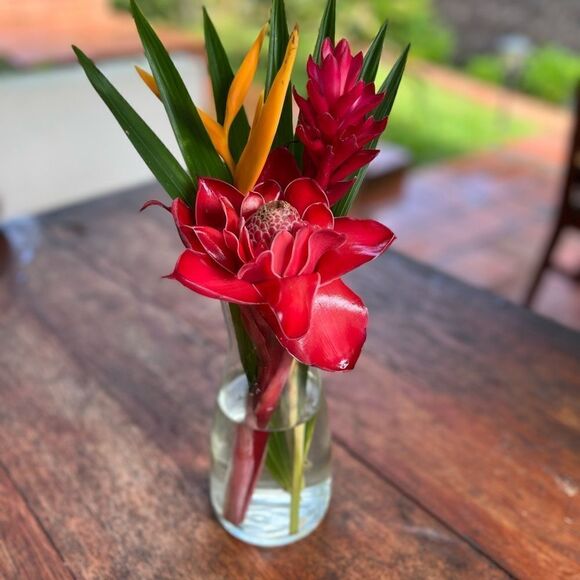 show- 1-50 numbers. Listing for live show - Picture 1 of 1